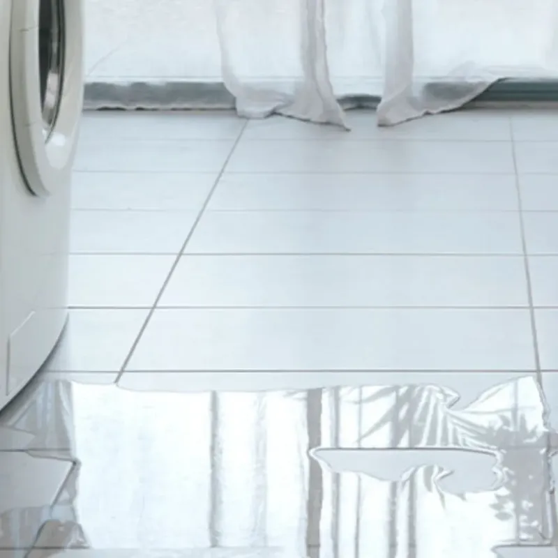 Appliance Leak Cleanup in Marco, FL